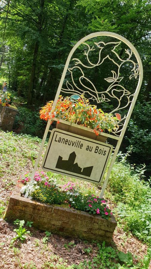 Le Prangeleux Bed & Breakfast Tenneville Eksteriør bilde
